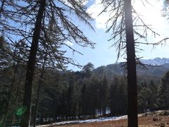 -硗碛藏寨·神木垒景区