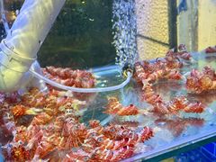 -凯华海鲜火锅·传承三十六年