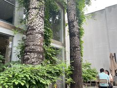 -VOYAGE COFFEE 咖啡烘焙工坊店(798艺术区店)