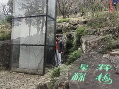 -香雪海