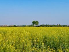 -汉长安城未央宫国家考古遗址公园