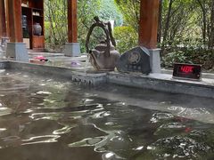 -天目湖御水温泉·度假酒店