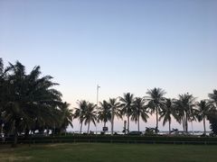 -旧屋咖啡(海景店)