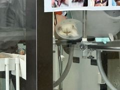 -中农大我爱我爱动物医院·核磁CT·猫病·24小时夜诊中心(石佛营店)
