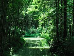 -同里国家湿地公园