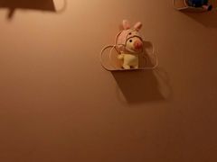 -浣熊柯尔鸭土拨鼠·电玩咖