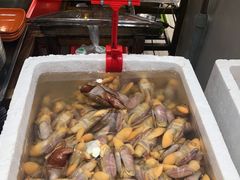 -蚝专家(北滘店)