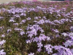 -长春世界雕塑园