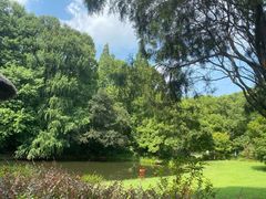 -上海共青森林公园