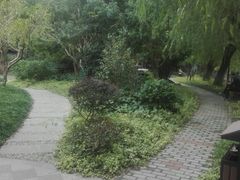 -亭林公园