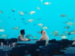 -瑞德姆美人鱼海底演艺主题餐厅(亚龙湾店)