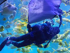 -左海海底世界