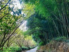 -九龙潭景区