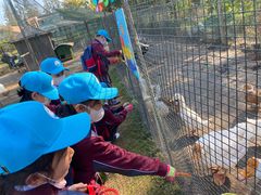 -前小桔亲子创意农场·草莓采摘·露营烧烤