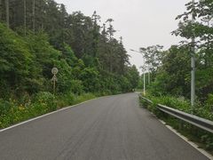 -青龙山国家森林公园