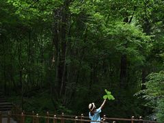-叠溪松坪沟景区