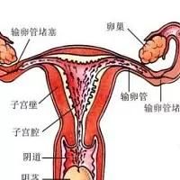 -邢台妇产医院
