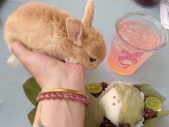 -大象厨房(重庆道店)