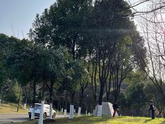 -铁山坪森林公园