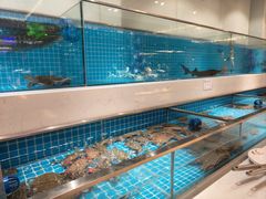 -腾阁自助餐厅(朝林广场店)