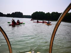 -上海海湾国家森林公园