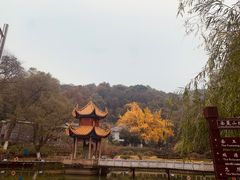 -岳麓山风景名胜区