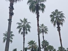 -杭州千岛湖滨江希尔顿度假酒店