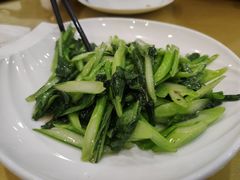 -晋府大酒店