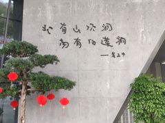 -柳州白莲洞洞穴科学博物馆