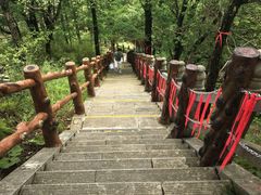 -塔云山