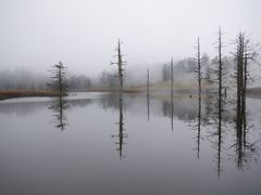 -瓦屋山景区