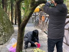 -石台牯牛降景区
