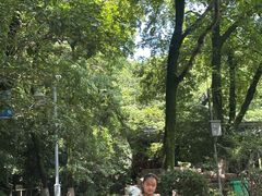-峙山公园