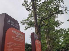 -白沙门生态公园