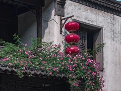 -老门东历史文化街区