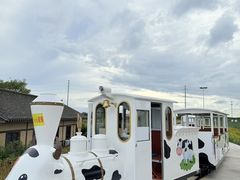 -杭州湾海上花田景区