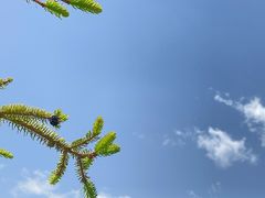 -扁都口生态休闲旅游区