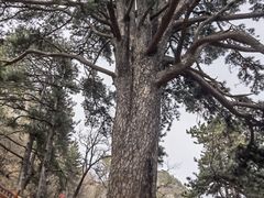 -终南山南五台景区