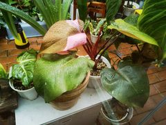 -About Bistro關於·泰式家庭料理