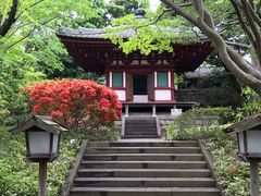 -新高轮格兰王子大酒店
