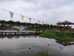 -同銮特种养殖场·龙虾垂钓