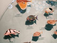 -中国湿地博物馆