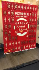 -DEM缔怡美科技美容