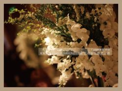 -上海虹桥锦江大酒店·宴会厅