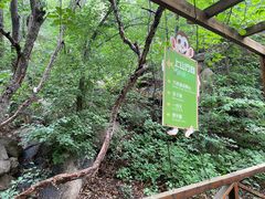 -大岭沟猕猴桃谷风景区