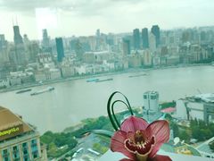 -翡翠36餐厅(浦东香格里拉店)