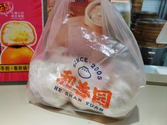 -和善园手工大包子(常德路店)