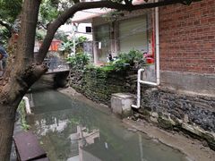 -小洲村