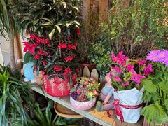 -萤火虫咖啡(后海店)