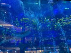 -成都浩海立方海洋公园